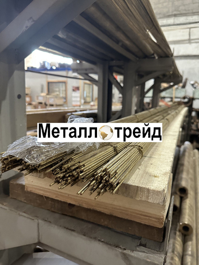 Круг бронзовый БрОФ10-1 100 мм 1000