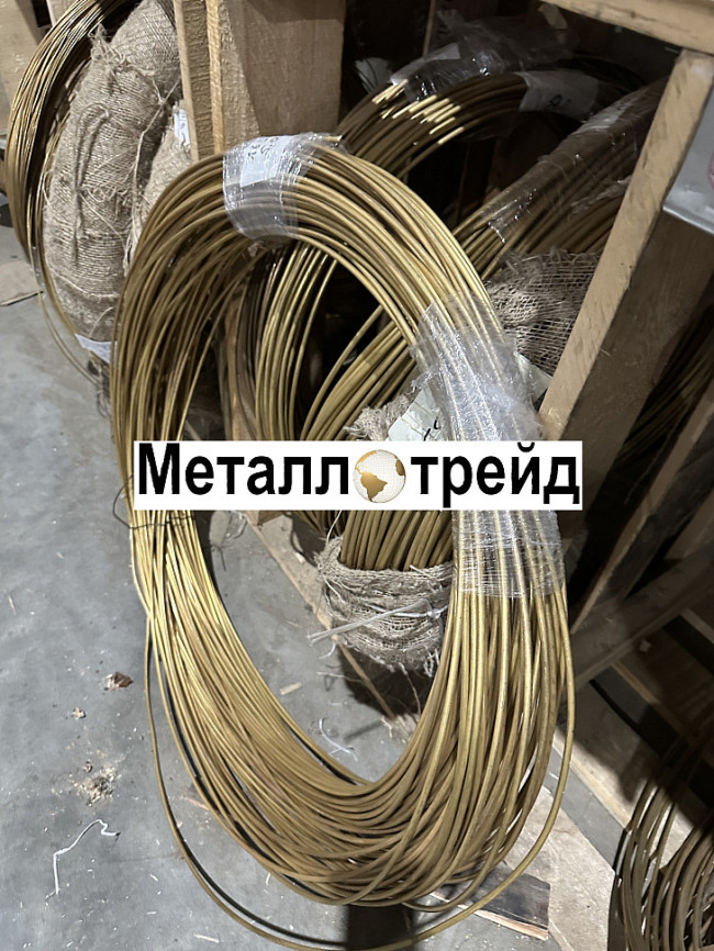 Проволока бронзовая БрБ2 0,2 мм